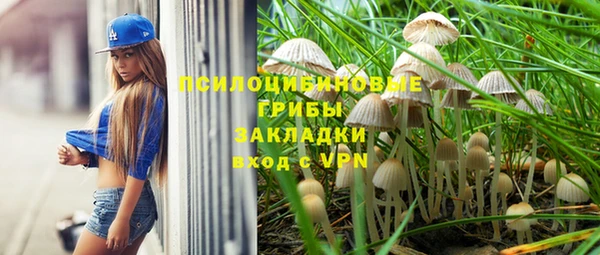 крисы Белокуриха