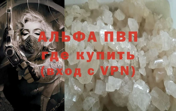 крисы Белокуриха