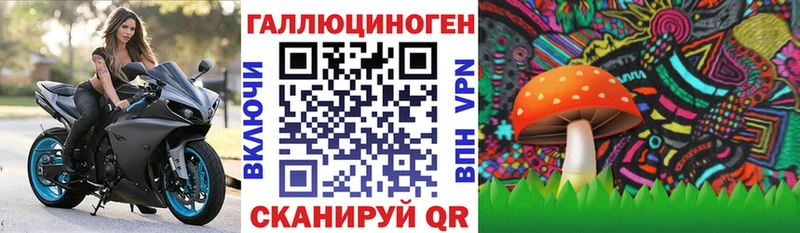 Псилоцибиновые грибы MAGIC MUSHROOMS  Купить закладки  Бабушкин 